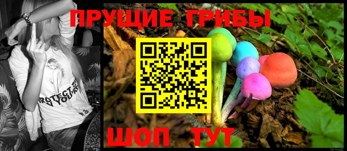 Галлюциногенные грибы Magic Shrooms Кириши