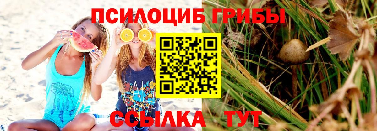 Кириши  наркошоп  Вход с VPN  Псилоцибиновые грибы Magic Shrooms 